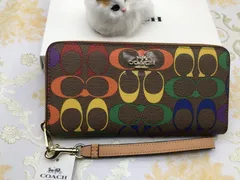 2024年最新】新品未使用 coach 長財布 シグネチャー レインボーの人気