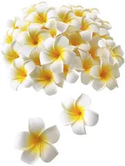 Xiangdingg プルメリア 造花 花のみ ハンドメイド DIY用品 飾りつけ 装飾 アクセサリー ホワイト 4cm 30個