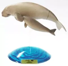 2025年最新】原色海生哺乳類図鑑の人気アイテム - メルカリ