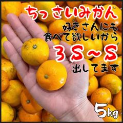 有田みかん　箱込み5kg 小玉のみ