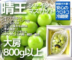 【冷蔵便】岡山産　シャインマスカット　晴王　1房　約800ｇ