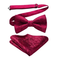 [HISDERN] 赤 蝶ネクタイ メンズ 結婚式 大人 ワンタッチ 蝶ネクタイ ポケットチーフ セット ペイズリー 花柄 おしゃれ ボウタイシルクビジネス フォーマル ブランド 高級 礼服 プレゼント 男性…