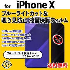 【iPhoneX】ブルーライトカット&覗き見防止 iPhone液晶保護フィルム のぞき見防止 プライバシー保護 クリーナー付き ガラスフィルム 強化ガラス プライバシー保護 アイフォンテン あいふぉんてん IPHONE X