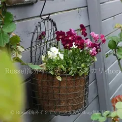 バスケット メタルワイヤー 吊りバスケット メッシュ 寄せ植え ヴィンテージ調 ガーデニング 雑貨 ガーデン雑貨 ガーデンインテリア ガーデン インテリア 庭の装飾 お洒落 おしゃれ 4-7