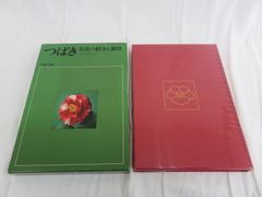 保育社 カラー豪華本 つばき 名花の紹介と栽培 中古品
