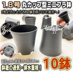 (新)1.8号ミニラン鉢系どっしりカップ型●高機能ミニプラ鉢-黒(φ5.5cm)-10鉢セット-鉢底の通気・排水重視＠フラワーショップ江口