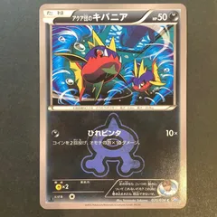 アクア団のキバニア　アクア団のサメハダー　psa10 連番　ポケモンカード アクア団のキバニア 033/080 アクア団のサメハダー 003/033