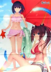 【中古】ポスター [単品] B2布ポスター 蒼崎青子＆久遠寺有珠 「PS4/Switchソフト 魔法使いの夜 楽天ブックス限定セット」 同梱特典