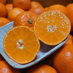 佐瀬みかん 5kg 2S 甘酸っぱくて美味しい🍊