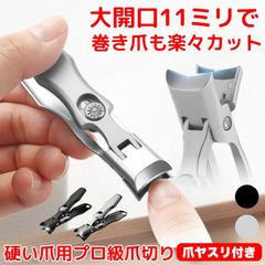 Item thumbnail for item 77c0b001-3c85-4e13-a0c9-fcac8bab781b