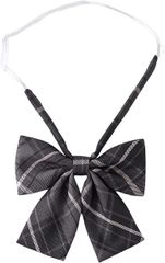 Item thumbnail for item f4cad6c6-7644-4eaa-bd2f-5806c9e8300d