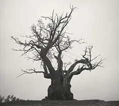 SEKAI NO OWARI 2010-2019[通常盤]