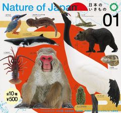 日本のいきもの1  NATURE OF JAPAN  全10種セット