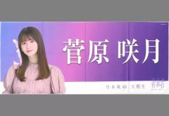 乃木坂46 菅原咲月 推しメンマフラータオル - メルカリ