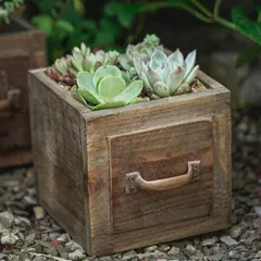 鉢植え 植木鉢 プランター プラントポット フラワーポット 花瓶 ガーデニング 樹脂 屋内 屋外 室内 インテリア 庭 玄関 引き出し型 四角形 木製 レトロ 多肉植物 サボテン ミニサイズ 可愛い ミニチュア