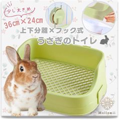 Item thumbnail for item a0b64d25-1ba6-4630-b0d1-8dbb6f2657cc