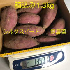 さつまいも　シルクスイート