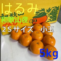 はるみ 2S 小玉 和歌山産 5kg