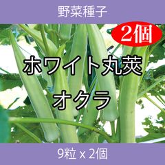 野菜種子 EAS ホワイト丸莢オクラ 9粒 x 2個