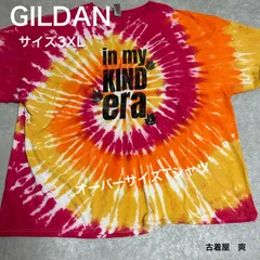 No.217アメリカ古着GILDAN洗濯済みサイズ3XLオーバーサイズTシャツビックサイズ