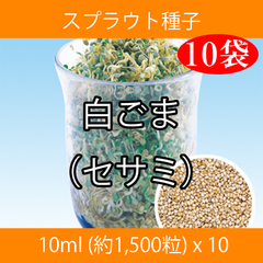 スプラウト種子 S-15 白ごま（セサミ） 10ml 約1,500粒 x 10袋