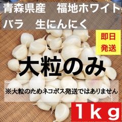福地村産 元祖福地ホワイト L 1kg 青森県産 半生 にんにく 夏坂ふぁー