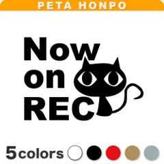 カッティングステッカー Now on REC猫(A) ドラレコ 録画中 ドライブレコーダー 車 ぺた本舗