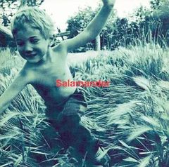 【中古】Salamander  /  ELLEGARDEN（帯あり）
