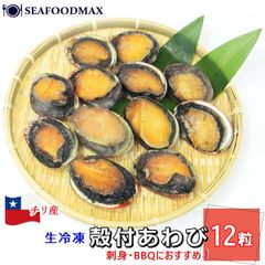 あわび アワビ 殻付あわび アカネアワビ 茜鮑 12粒入 1kg 生冷凍 殻付鮑 殻付アワビ 殻付き 殻 殻付 刺身 ステーキ バーベキュー BBQ 生食可能 IQF ・殻付あわび【12粒】・