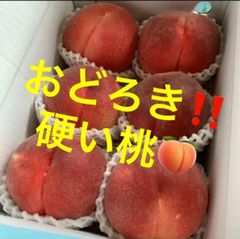 福島県産　おどろくほど硬い桃　おどろき　桃　カリカリ　バリ固い　柿？りんご？大根？　びっくりするほどカタイ硬い桃ちゃん　硬い食感が堪らん〜　モモ　もも　本物の硬い品種　是非一度食べてほしい