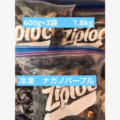 ぶどう　ブドウ  ナガノパープル　冷凍　600g 3袋　希少