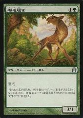 26230 MTG マジック:ザ・ギャザリング ヒッコリーの植林地 - メルカリ