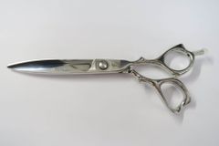 Item thumbnail for item 59068b4d-8bdd-4b65-9d2c-71518091329b