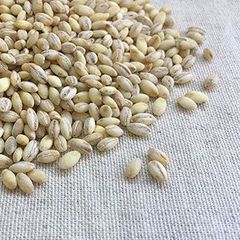 早い者勝ち‼️】 種もみ コシヒカリ 消毒済 箱込5kg - メルカリ