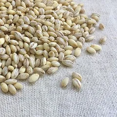 白もち麦 800g 国産 チャックつき 店舗発送のサムネイル