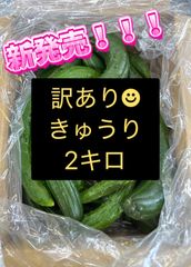 訳あり きゅうり 箱込み約1キロ 訳あり長なす 箱込み約2キロ - メルカリ