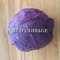 富山県産 紫キャベツ 約1.1kg