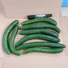 なっしい様