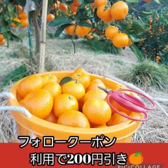 有田みかん【サイズ混合 】5kg（箱込）80