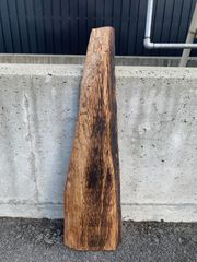 赤樫 カシ 一枚板 56cm 板材 木材 [541]