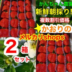 【複数割引価格‼️】大粒♡かんちゃん農園の甘いいちご