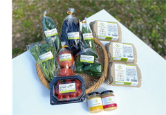 よくばりセット(2〜3人向け） 沖縄県産野菜(5～7種類）と平飼い卵(6個入3p)、マヨネーズ2種