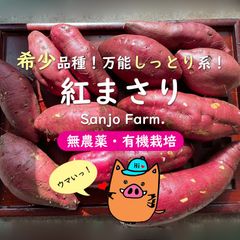 【熟成さつまいも3kg】３種食べ比べセット★金時芋 紅はるか 紅まさり