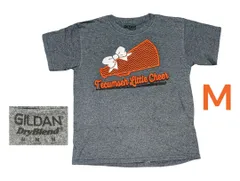 古着 GILDAN ギルダン 半袖Tシャツ　M グレー　　h   SWS0127