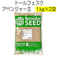 トールフェスク種子　アベンジャーⅢ　2kg【種】紅大貿易　芝の種　芝生の種　寒地型　西洋芝
