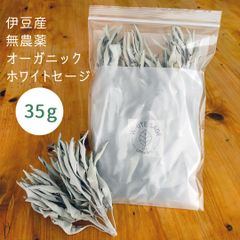 【35g】ホワイトセージ 枝付き 伊豆産 無農薬有機栽培