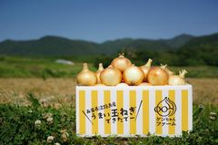 ひょうご安心ブランド認証　淡路島たまねぎ　10kg【兵庫県淡路島産】