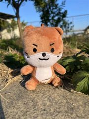 MINITEEN ミンハオ ぬいぐるみ ディパリ ミニティーン ディエイト seventeen ミニティーン ディパリ ミンハオ セット THE8 2025