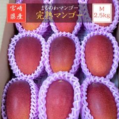 マンゴー 【まるのわマンゴー】 完熟マンゴー M 2.5kg 9個 宮崎県宮崎市 《5/上～5/中の出荷》