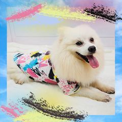 カッターシャツ 犬服 ペット服 柄シャツ わんちゃん ねこちゃん 猫服 シャツ 半袖 ペットウェア 春服 夏服 春夏